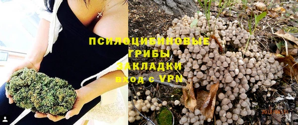 крисы Алзамай